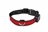 EYENIMAL NGCOLLUM017 USB Light Collar Red M, M, red, 76 g
