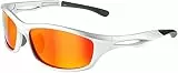 Balinco – Polarisierte Sport Sonnenbrille Damen & Herren UV400 – Moderne Sportbrille mit Federscharnier – Unisex Sonnenbrillen für Sport & Freizeit – Sunglasses 100% UVA/UVB Schutz – Diverse Farben