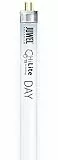 Juwel Aquarium 86324 HiLite Day Leuchtst.T5, 438 mm/24 W, Klar, 438 mm / 24 Watt | Kompatibel mit JUWEL HiLite Nature oder Colour