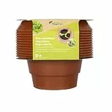 Andermatt Biogarten SchneckenStopp PP – 12er Pack, natürlicher Schneckenschutz, wiederverwendbarer Schneckenkragen aus recyceltem Material, das Schweizer Original, braun