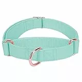 Weich Leder Hundehalsband, Verstellbar Hund Halsband mit Nylon Geflochten & Zugstopp, Stilvollen Rose Gold Metall Zughalsband Dressurhalsband für Kleine Mittlere Große Hunde Anti-Zug Walken M,Minzgrün