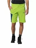 Jack Wolfskin Herren GLASTAL M Shorts, Fresh Green, 50