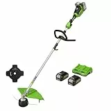 Greenworks GD24X2TXK4X Akku Rasentrimmer für kleine bis mittelgroße Gärten, 40 cm Schnittbreite, Stoßvorschub, 2 mm Doppelfaden aus Nylon, zwei 24V 4Ah Akkus & Doppel-Ladegerät, 3 Jahre Garantie