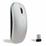TQQ Wiederaufladbare kabellose Maus, 7 Farben Hintergrundbeleuchtete Maus mit 2,4 GHz Mini-USB-Empfänger, Gaming-Maus, kompatibel mit Laptop, PC, Mac, Computer, Chromebook, Notebook