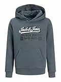 JACK & JONES JUNIOR Jjelogo Sweat Hood 2 Col Aw25 Noos Jnr