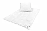 DecoKing Bettwaren Set 155x220 cm Bettdecke und Kopfkissen 80x80 Steppdecke Antiallergisch Ganzjährig Öko Tex Standard Inez 155 x 220 cm