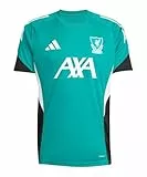 adidas FC Liverpool LFC Training Trikot Jersey (DE/NL/SE/PL, Alphanumerisch, L, Regular, Regular, Green)