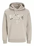 JJ REBEL Herren Jrebhamilton Sweat Hood Kapuzenpullover, Moonbeam, S EU