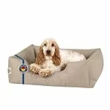 BedDog Hundebett Zara, Hundekissen mit Abziehbaren Waschbaren Bezug, Hundekorb, Hundesofa, für Kleine Hunde, S