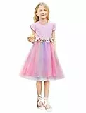 PATPAT Mädchen Kleid Festlich Ärmellos, Mädchen Tüll Prinzessin Partykleid Blumenstickerei, Ballkleid Tutu Kleid für Hochzeit, Geburtstag, Fest, Taufe, Bankett, Feiertag, Gr.92-140