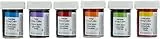 bakeryteam Wilton Gelfarben im Spar-Set Regenbogenmix (6 x 28 g)