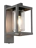 Trio Leuchten Außen Wandleuchte Lunga 212060142, Aluminium Druckguss, Glas, exkl. 1x E27, Anthrazit