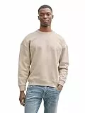 TOM TAILOR Denim Herren 1045579 Relaxed Sweatshirt mit Logo-Print, 11754-light Dove Grey, M