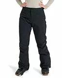 Roxy Schneehose Backyard Pant Violett XL