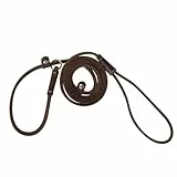 2-in-1 Hundeleine, 1,5m/5ft Leder Retrieverleine mit Zugstopp, Einstellbar Retriever Leinen mit Halsband für Hunde mit Gewicht von etwa bis 10 kg geeignet
