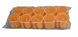 Kopp 355200043 Hohlwandschalterdose Isolierstoff, ø 68 mm, Dosentiefe 61 mm, Profi-Pack: 10-Stück im Karton