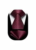 HISDERN Krawatten Weinrot Herren Hochzeit Krawatte mit Einstecktuch Klassisch Business Krawatte & Taschentuch Set