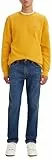 Levi's Herren 502 Taper Jeans, Cross The Sky ADV, 29W / 32L