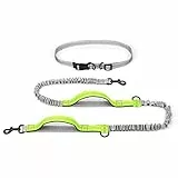 Handfreie Hundeleine, Joggingleine Hunde mit Reflektierende Nähte, Freihandleine zum Joggen mit Bauchgurt und Ruckdämpfer für bis zu 110 kg Hunde