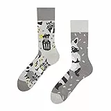 Dedoles Socken Unisex Damen Herren & Kinder Baumwolle viele lustige Designs 1 Paar Geschenk links rechts verschieden, Farbe Grau, Motiv Waschbär, Gr. 39-42