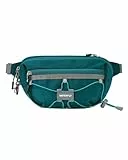 WATERFLY Bauchtasche Gürteltasche Herren Damen: Klein Anti-Diebstahl Hüfttasche mit RFID Schutz Stylisch Waist Fanny Pack Sport Bumbag Hip Bag für Hundetraining Wandern Reise Laufen Outdoor
