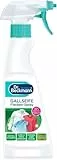 Dr. Beckmann Gallseife Flecken-Spray, 250 ml