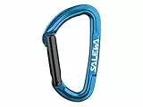 Salewa Hot G3 Screw Carabiner, Blau