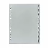 herlitz Register A4 1-31, Grau, 23 x 29,7 cm, Kunststoff, Eurolochung