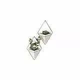 Umbra Trigg Wandvase & Geometrische Deko - Übertopf Für Zimmerpflanzen, Sukkulenten, Luftpflanzen, Kakteen, Kunstpflanzen und Mehr, Beton/Kupfer, 2er-Set, Klein