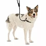 COMPANY OF ANIMALS 3-in-1 Retrieverleine, All-in-One Produkt. Weich, bequem und wetterresistent, Hundekurzleine für stark ziehende Hunde. (Größe Klein, Braun, 1.2 m)