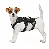 rabbitgoo Ausbruchsicheres Hundegeschirr Kleine Hunde mit Griff, Anti Zug Sicherheitsgeschirr Hund Atmungsaktiv, Verstellbare Brustgeschirr, Gepolstertem Hundeweste, Panikgeschirr, Schwarz S