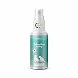 felmo Zahnpflege-Spray (Dentalspray) für Hunde und Katzen (150ml) Entfernt Zahnbelag & sorgt für frischen Atem durch 50 fermentierte Kräuter & Kalzium - von unseren Tierärzten entwickelt