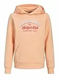 JACK&JONES JUNIOR JJELOGO Sweat Hood 2 COL 24/25 NOOS JNR
