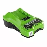Greenworks 24V 2A Akku Ladegerät, für Greenworks 24V Batterien G24B2 & G24B4, Original Greenworks Ladegerät, Wandmontage + LED-Ladeindikator, Für alle 24V Akkus geeignet, 3 Jahre Garantie, G24C