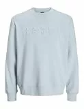 JACK & JONES Jcopacer Sweat Crew Neck