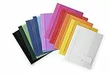 DURABLE Hunke & Jochheim Schnellhefter DURALUX®, für A4 Überbreit, 280x332mm (10 Farben sortiert | tranparenter Deckel)