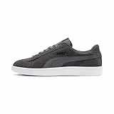 PUMA Unisex Puma Smash V2 Sneaker, Castlerock Puma Black White, 43 EU