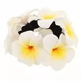 Beaupretty Hawaiianisches Blumen-Haargummi Plumeria Sommer Haarschmuck Elastisches Pferdeschwanz-Haarband Für Festival Hochzeit Und Strandurlaub