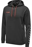 hummel Kapuzenpullover Hmlauthentic Herren