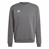 adidas Herren Entrada 22 Sweatshirt, Team Grey Four, XXL