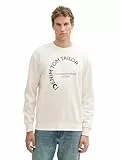 TOM TAILOR Denim Herren Basic Crew-Neck Sweater Pullover mit Print,12906 - Wool White, XXL