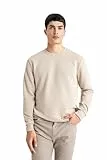 DeFacto Herren Pullover und Sweatshirt - Auswahl an Pullover und Sweatshirts für Herren