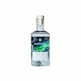 Bareksten | Nordlys Gin | The Spirit of The Northern Lights | Frisch & würzig | Kleinstchargen aus Norwegen | 41% vol. | 500ml