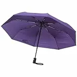 SWISSONA Regenschirm sturmfest klein - Ultraleicht und kompakt - Automatik auf und zu Schirm - Taschenschirm mit Hülle - Kleiner Regenschirm - Lila