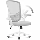 naspaluro Ergonomischer Bürostuhl, Schreibtischstuhl mit 90° Klappbaren Armlehnen, Einzigartige Lendenwirbelstütze, Atmungsaktive Mesh-Polsterung für das Heimbüro, Studie, Grau.