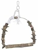 TX-5891 Arch Swing 22x29