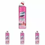 Domestos Kraft & Frische WC Gel Floral Fresh Reinigungsmittel mit frischem Blumen-Duft für hygienische Sauberkeit 750 ml 1 Stück (Packung mit 4)