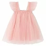AGQT Kleinkind Mädchen Tutu Kleid Rüschenhülse Ärmelloses Prinzessin Tüll Tutu Kleid Geburtstagsfeier Kleider Hochzeit Geschichtete Spitze Mini Schichten Kleid Hellrosa Größe 4-5 Jahre