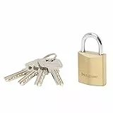 MASTER LOCK 2930EURD Vorhängeschloss 30mm Vollmessing Hohe Sicherheit mit Doppelter Verriegelung