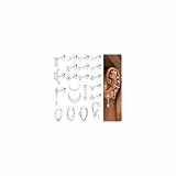 CASSIECA 21Pcs Piercing Ohr Chirurgenstahl Helix Piercings Silber CZ Blume Creolen Ohrstecker Ohrringe Set Damen Knorpel Ohrringe Tragus Conch Helix Piercing Ohr Silber Schmuck
